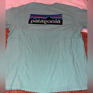 Patagonia Men’s teal tshirt
